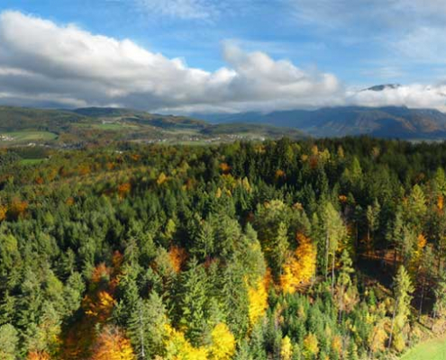 aerial photo autumn multicopter