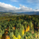 aerial photo autumn multicopter